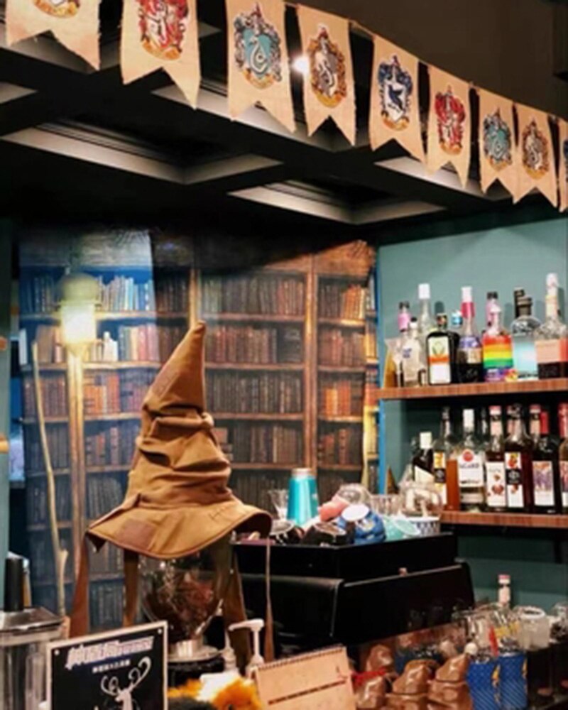 Chapéu Filme Harry Potter Caru Store